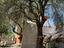 Immagine 18