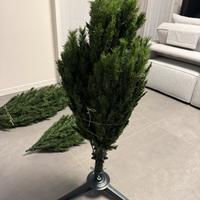 Albero di Natale