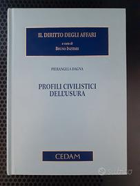 Pierangela Dagna Profili civilistici dell'usura