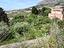 Immagine 29