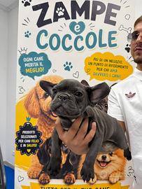 Cane bulldog