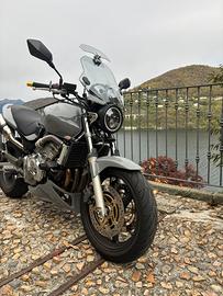 Honda Hornet Perfetta
