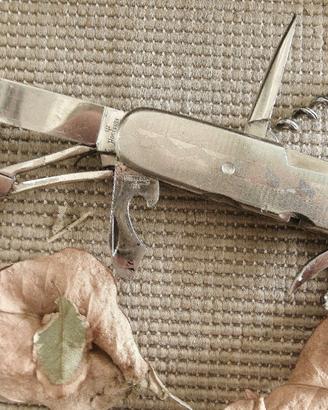 Coltello Multiuso Inox Ed Wüsthof Solingen 1962