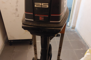 Motore fuoribordo Evinrude 25 cav 2 tempi