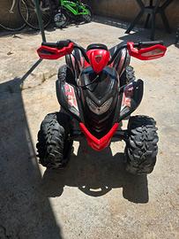 quad elettrico 