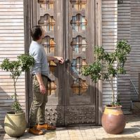 Porta Portone in legno ferro battuto 1800