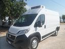 fiat-ducato-frigo-coibentato-medio-alto