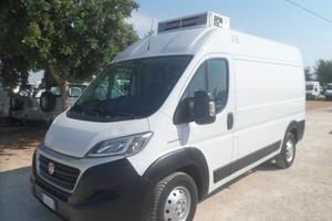 Fiat Ducato frigo coibentato medio alto