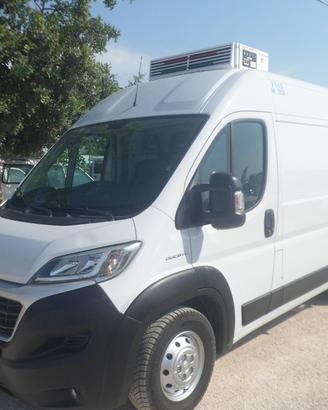 Fiat Ducato frigo coibentato medio alto