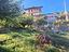 Immagine 19