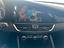 Immagine 8