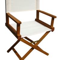 Sedie regista in legno