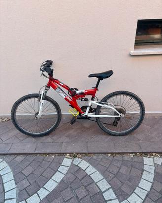 MTB NETBIKE