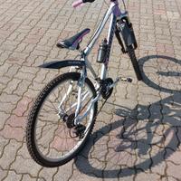 Bicicletta  pari al nuovo