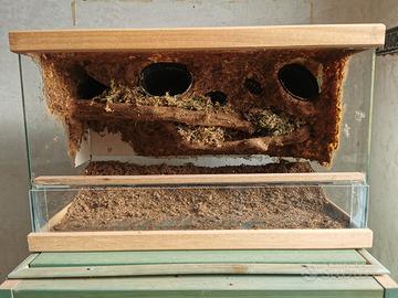 terrario paludario rettili vetro 