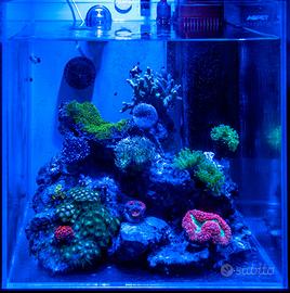 Acquario Cubo 40x40 AQPet extrachiaro