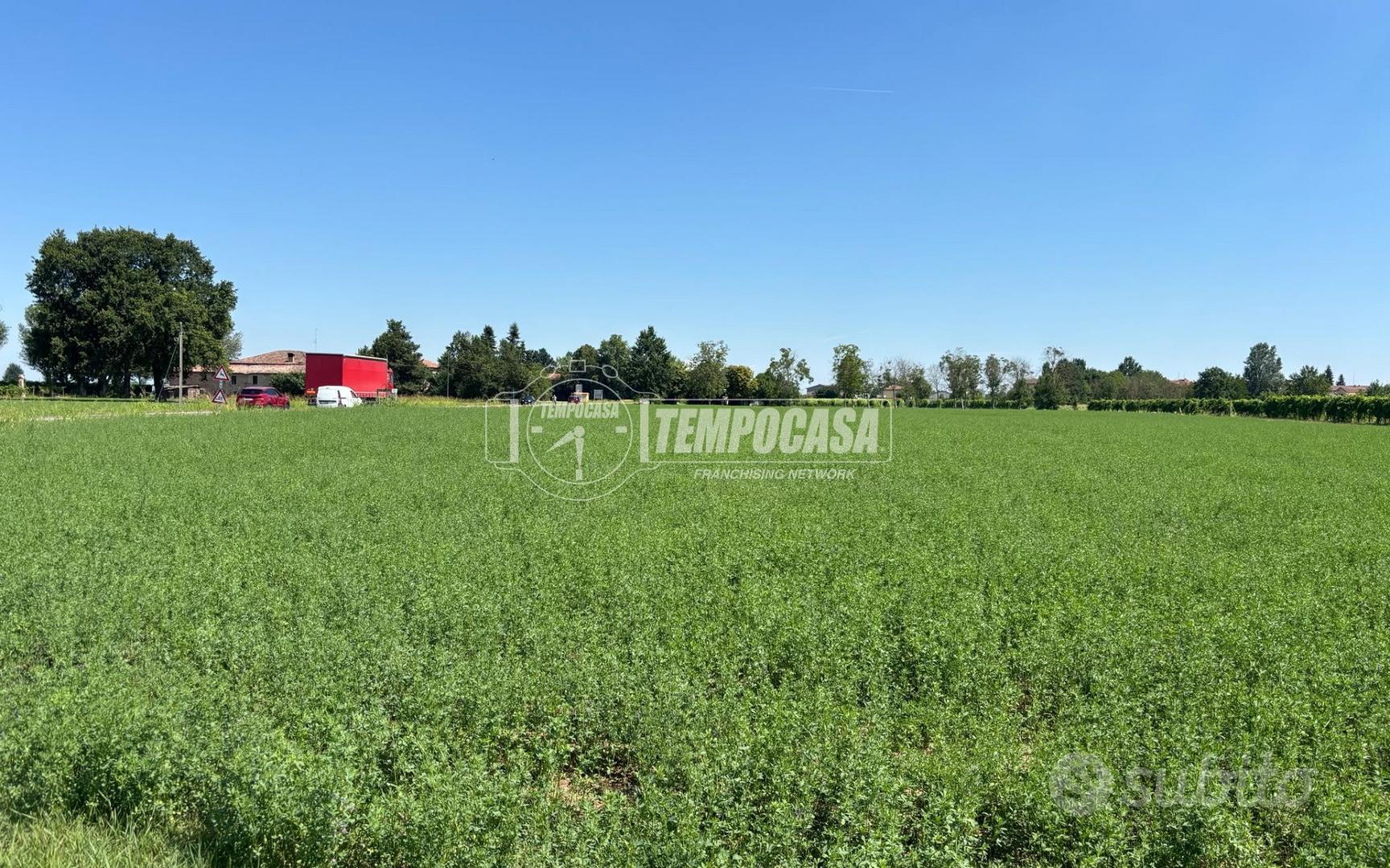 TERRENO AGRICOLO A SOLERA - Vista 3