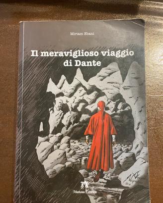 Libro il meraviglioso viaggio di dante