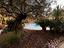 Immagine 27