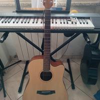 Chitarra acustica Ibanez PF10CE-OPN 