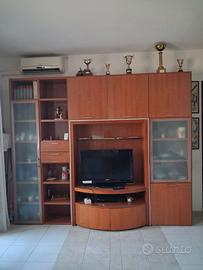 Mobile tv Salotto