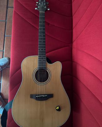 Chitarra Acustica Takamine GD20CE NS con Custodia