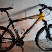 MTB Bottecchia FX 530
