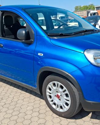 Fiat Pandina 1.0 firefly hybrid s&s 70cv 5p.ti