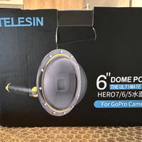 Telesin dome port