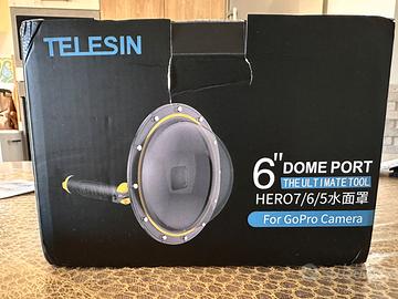 Telesin dome port