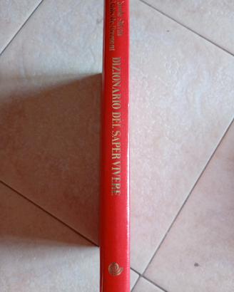 Dizionario del Sapere vivere 
