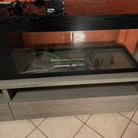 Acquario