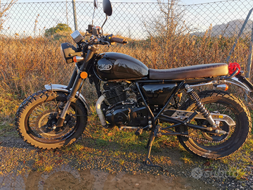 Mash twofifty 250cc 2017 scrambler