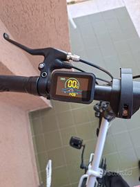 bici elettrica 
