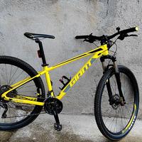 MTB giant