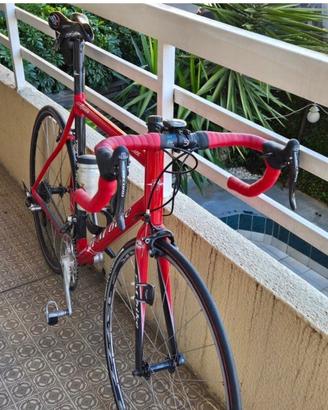 Bicicletta da corsa Dedacciai