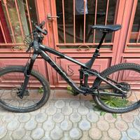 Trek remedy 8