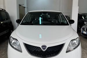 Lancia Ypsilon 1.2 69 CV 5 porte Platinum