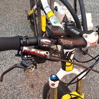 Bici mtb in carbonio 