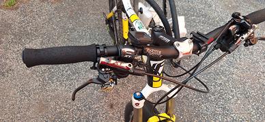 Bici mtb in carbonio 