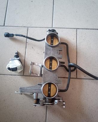 corpofarfallato triumph speed triple 1050