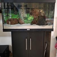 Acquario Juwel Rio 110 completo