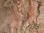 Immagine 9
