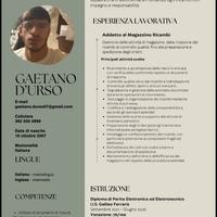 Magazziniere/Neodiplomato Elettronica