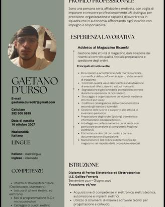 Magazziniere/Neodiplomato Elettronica