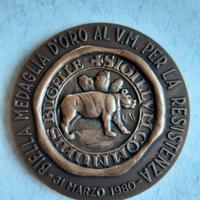 Biella Medaglia d'Oro al V.M.- disegno Pippo Pozzi