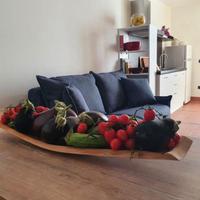 Case Vacanza Camelia12