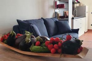 Case Vacanza Camelia12