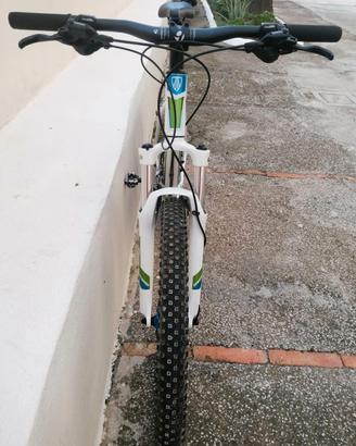 mtb trek  26