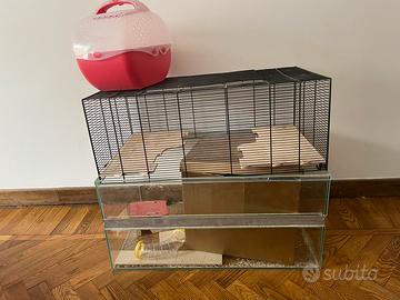 gabbia per roditori con trasportino e accessori